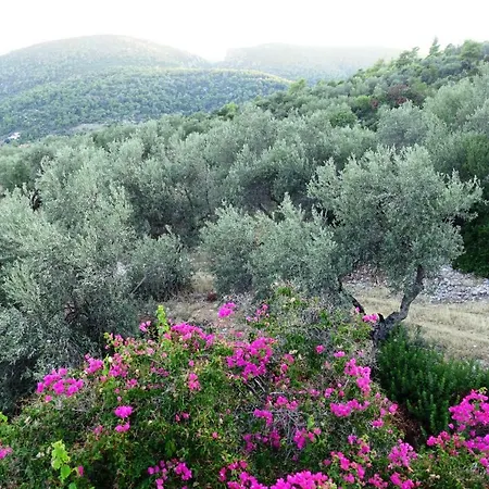 شقة Panorama Kórfos